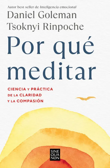 Por qué Meditar