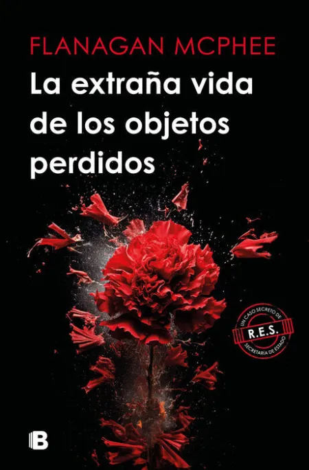 La Extraña Vida de los Objetos Perdidos