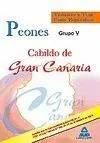 010 Peones Cabildo Gran Canaria Grupo V Temario y Test Especifico