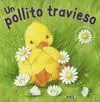 Un Pollito Travieso