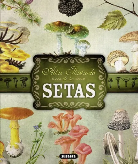 Setas. Atlas Ilustrado de las Setas Ref. 851-159