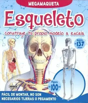 Esqueleto Ref. 3255-05