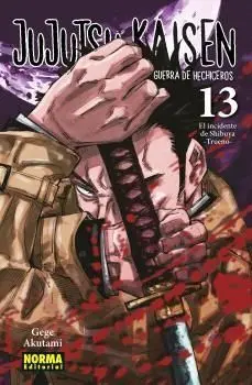 N13 Jujutsu Kaisen 13