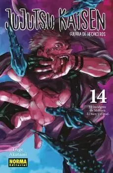 N14 Jujutsu Kaisen 14
