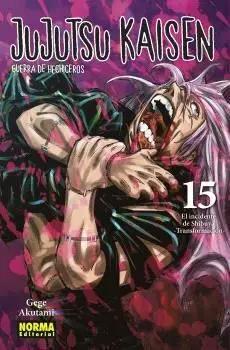 N15 Jujutsu Kaisen 15