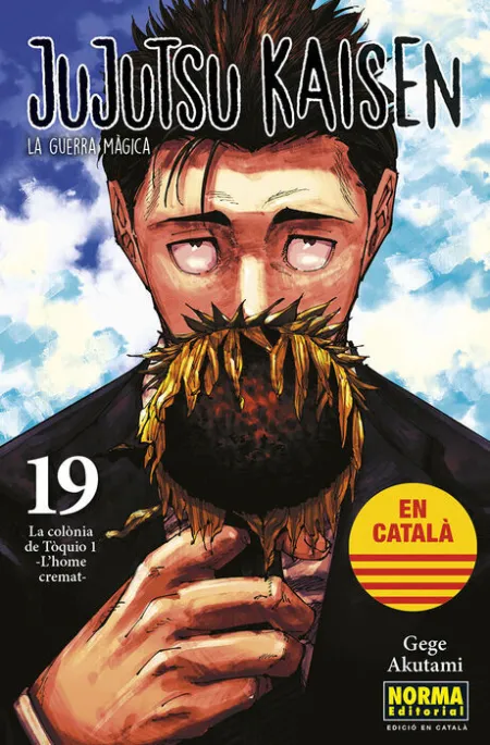 Jujutsu Kaisen 19 Catala
