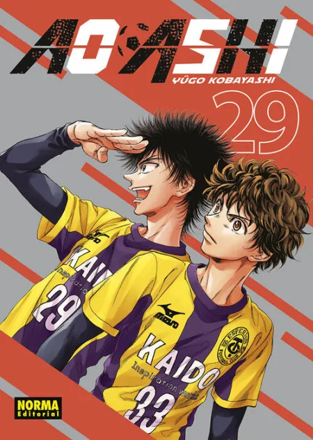 N29 Ao Ashi