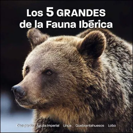 Los 5 Grandes de la Fauna Ibérica