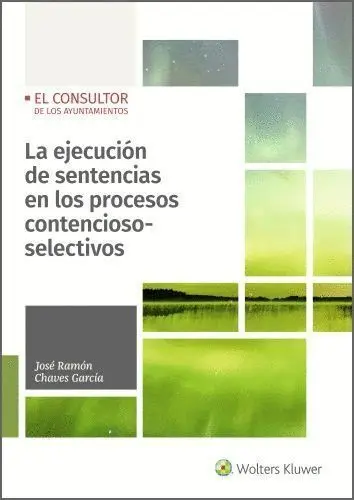 La Ejecución de Sentencias en los Procesos Contencioso-Selectivos