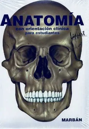 Anatomia