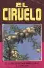 Ciruelo, el