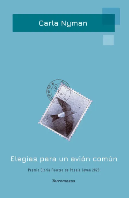 ElegãÂ­as para un AviãÂ³N ComãÂºn