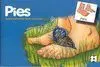 010 Pies-Coleccion Pictogramas