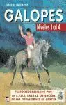 Curso de Equitacion Galopes - Niveles 1 Al 4