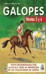 Curso de Equitacion Galopes - Niveles 5 y 6