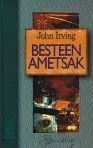 Besteen Ametsak