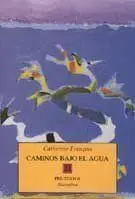 Caminos Bajo el Agua