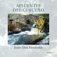 Afluentes del Curueño