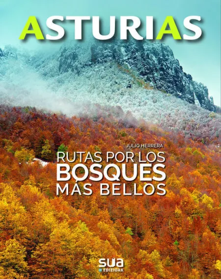 Rutas por los Bosques Más Bellos