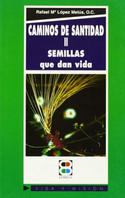 Caminos de Santidad Ii