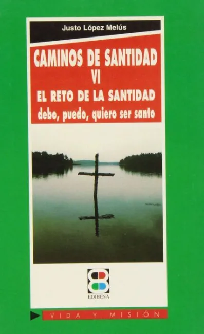 Caminos de Santidad Vi