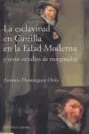 Esclavitud en Castilla en la Edad Moderna,La