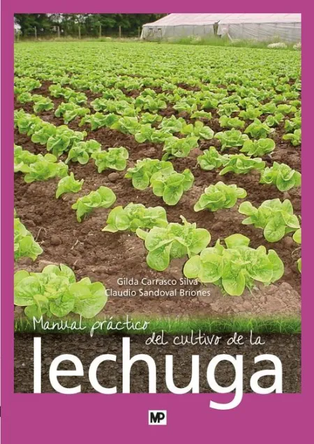 Manual Prã?Â¡Ctico del Cultivo de la Lechuga
