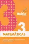Rubio Matematicas 3. Evolucion