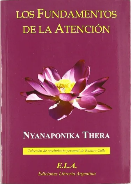 Fundamentos de la Atencion, los.