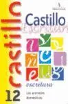 989 N12 Castillo Escritura