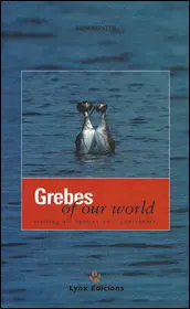 Grebes Of Our World