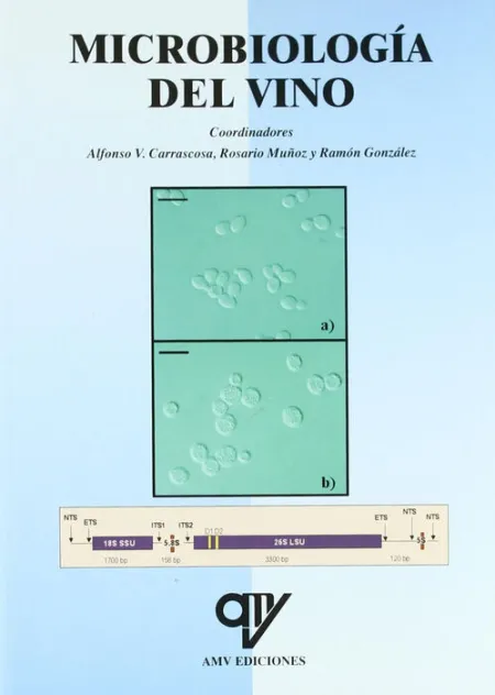 Microbiologia del Vino