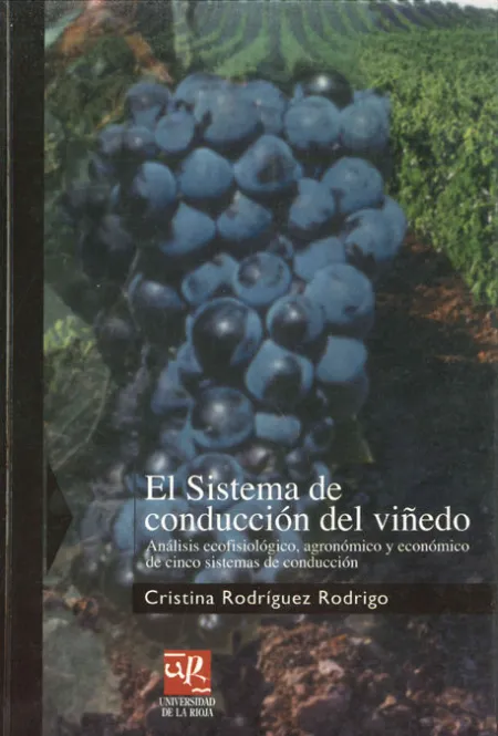 El Sistema de Conducciã?Â³N del Viã?Â±Edo en la Demarcaciã?Â³N del Rioja