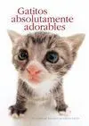 Gatitos Absolutamente Adorables