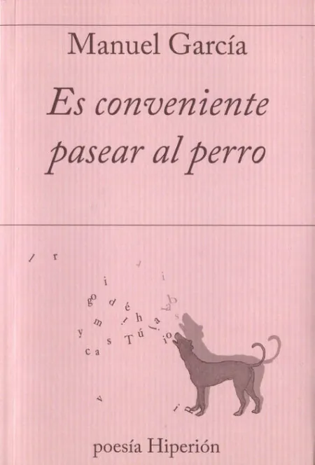 Es Conveniente Pasear Al Perro