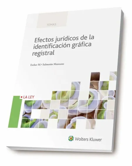 Guia Practica del Proceso Monitorio Civil y Penal