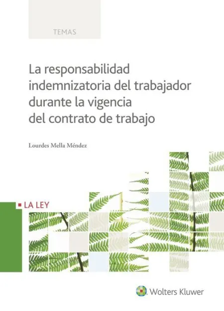 El Proceso Penal Practico