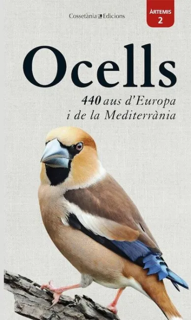 Ocells: 440 Aus D'europa I de la Mediterrània
