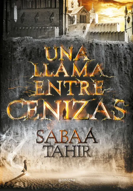 Una Llama entre Cenizas (Una Llama entre Cenizas 1)