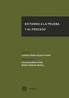 En Torno a la Prueba y el Proceso