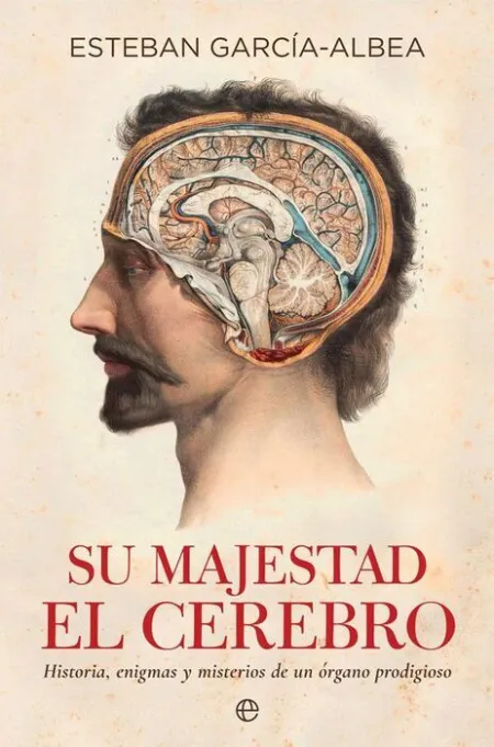 Su Majestad el Cerebro