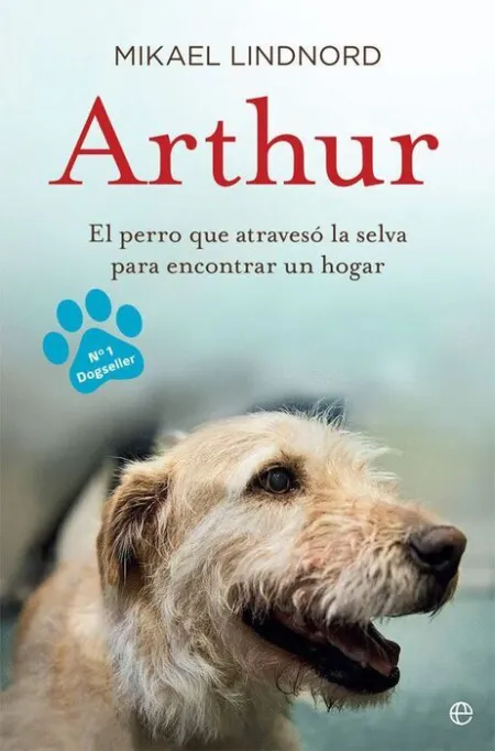 Arthur. El Perro que Atravesó la Jungla para Encontrar un Hogar