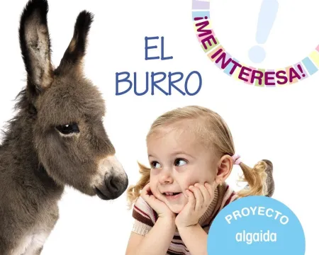 Proyecto 