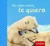 No Sabes Cuanto te Quiero