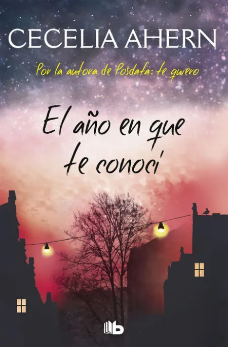 El Año en que te Conocí