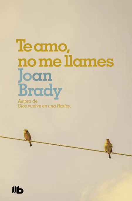 Te Amo, no me Llames