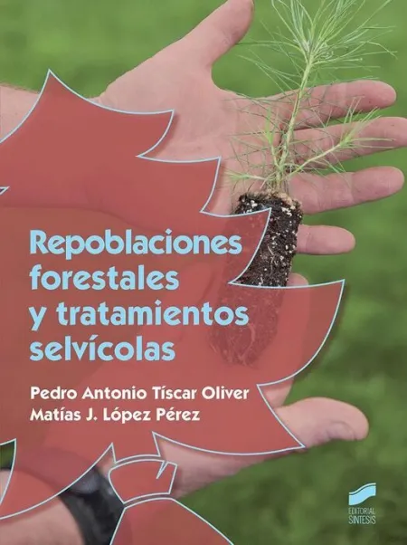 016 Cf Repoblaciones Forestales y Tratamientos Selvicolas