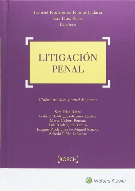 Litigacion Civil. Vision Sistematica y Actual del Proceso