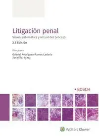 Litigacion Penal