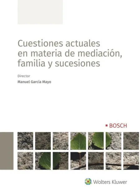 Cuestiones Actuales en Materia de Mediación, Familia y Sucesiones